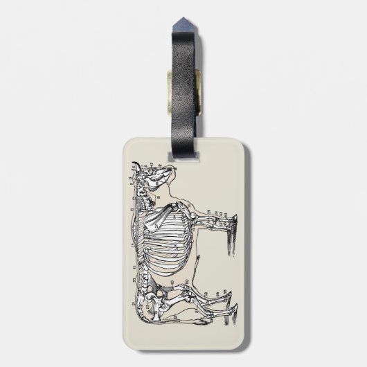 Antique Cow Skeleton Bones Fun ラゲッジタグ (裏面縦)