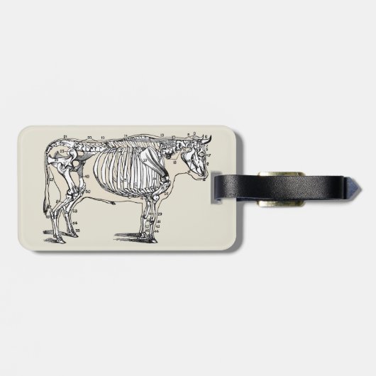 Antique Cow Skeleton Bones Fun ラゲッジタグ (裏面横)