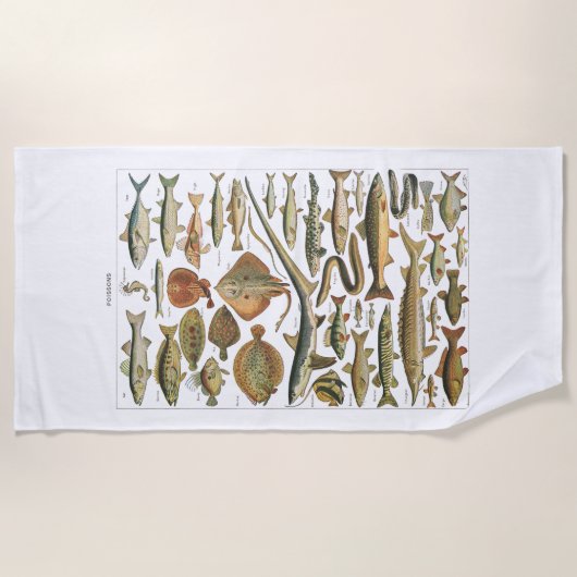 Antique fish chart crafter's ビーチタオル (正面)