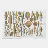 Antique fish chart Under-the-sea キッチンタオル (横)