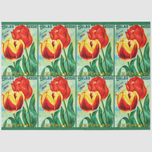 Antique Garden Advertisement, Yellow Red Tulips 薄葉紙 (正面)