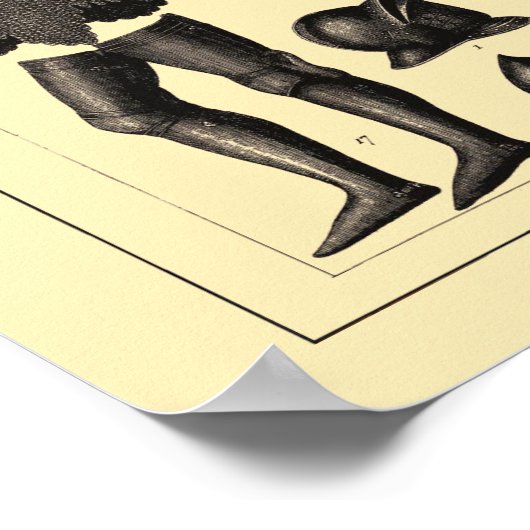 Antique Medieval Armor Illustrations Poster ポスター (角)