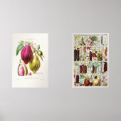 antique　plant　unique (正面)