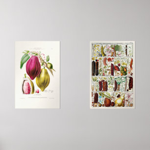 antique　plant　unique