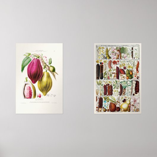 antique　plant　unique (正面)