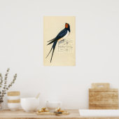 Antique Print of a Swallow ポスター (キッチン)