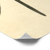 Antique Print of a Swallow ポスター (角)