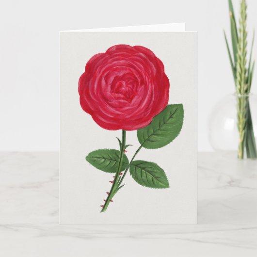 Antique Rose Lithograph, François-Frédéric Grobon カード (正面)