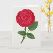 Antique Rose Lithograph, François-Frédéric Grobon カード (黄色い花)