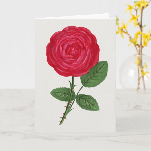 Antique Rose Lithograph, François-Frédéric Grobon カード (黄色い花)