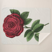 Antique Rose Lithograph, François-Frédéric Grobon シェルパブランケット (正面(横))