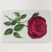 Antique Rose Lithograph, François-Frédéric Grobon ジグソーパズル (横)