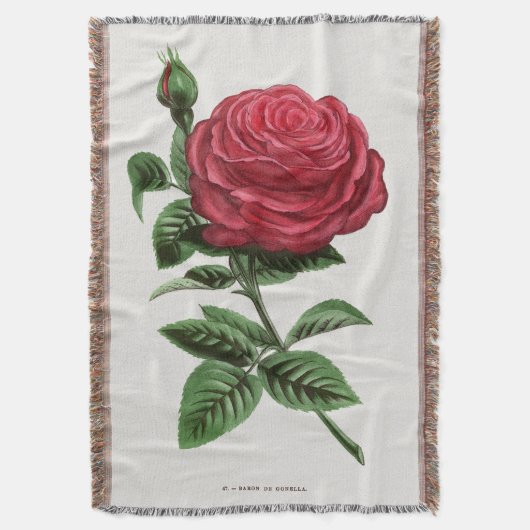 Antique Rose Lithograph, François-Frédéric Grobon スローブランケット (正面縦)
