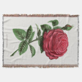 Antique Rose Lithograph, François-Frédéric Grobon スローブランケット (正面)