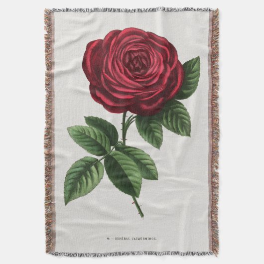 Antique Rose Lithograph, François-Frédéric Grobon スローブランケット (正面縦)