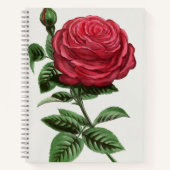 Antique Rose Lithograph, François-Frédéric Grobon ノートブック (正面)