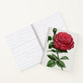 Antique Rose Lithograph, François-Frédéric Grobon ノートブック (内部)