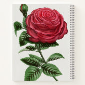 Antique Rose Lithograph, François-Frédéric Grobon ノートブック (裏面)