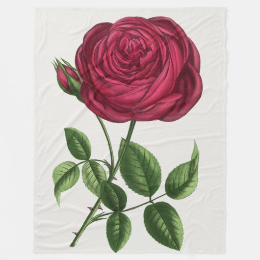 Antique Rose Lithograph, François-Frédéric Grobon フリースブランケット (正面)