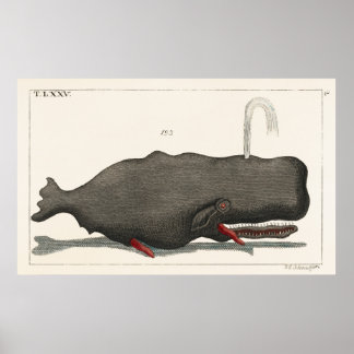 Antique Vintage Whale Woodcut Illustration Art ポスター