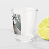 Antlered Caribou写真 ショットグラス (右)