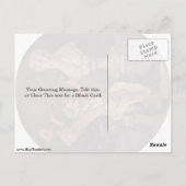 Antoine Watteauによる彫刻の音頭 ポストカード (裏面)