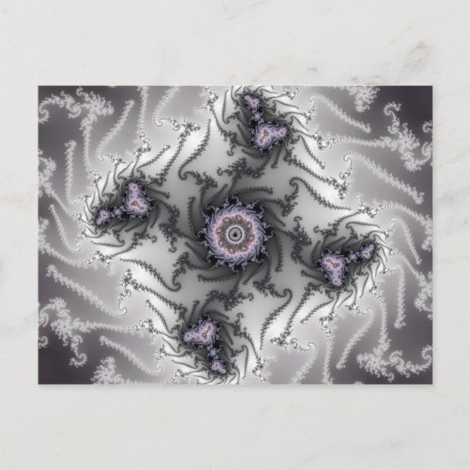 Ants – フラクタル ポストカード (正面)