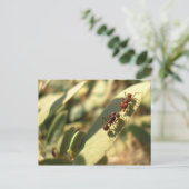 Ants & Attitude – はがき#1 ポストカード (スタンド正面)