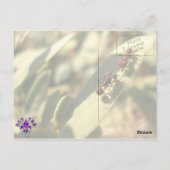 Ants & Attitude – はがき#1 ポストカード (裏面)