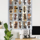 AntWeb Crematogasterハート ポスター (ホームオフィス)