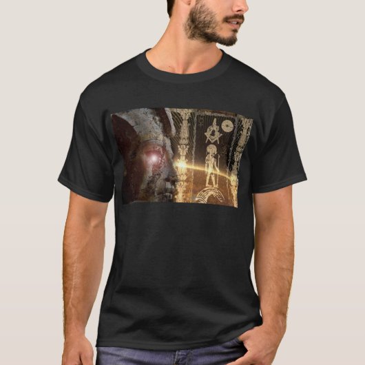 Anunnaki-ra_sun_god_egyptian_masons_nephilim_gods_ Tシャツ (正面)