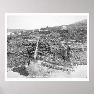 Anvil Creek Gold Mine Alaska 1916 ポスター