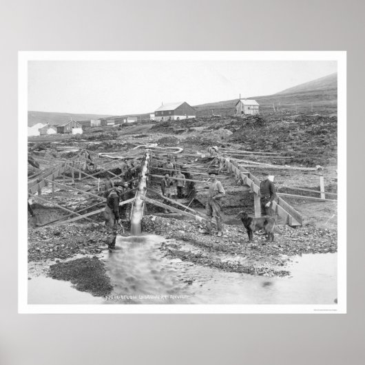 Anvil Creek Gold Mine Alaska 1916 ポスター (正面)