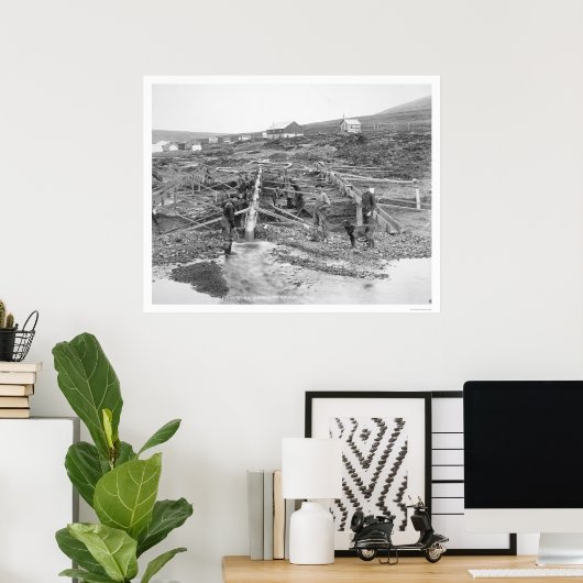 Anvil Creek Gold Mine Alaska 1916 ポスター (ホームオフィス)