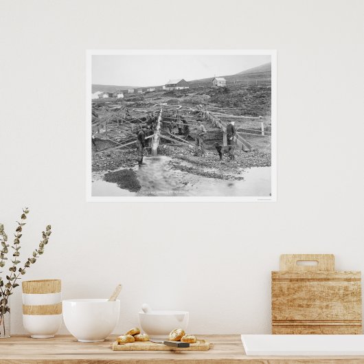 Anvil Creek Gold Mine Alaska 1916 ポスター (キッチン)