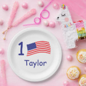 Any Age USA国旗の誕生日 ペーパープレート (パーティー)