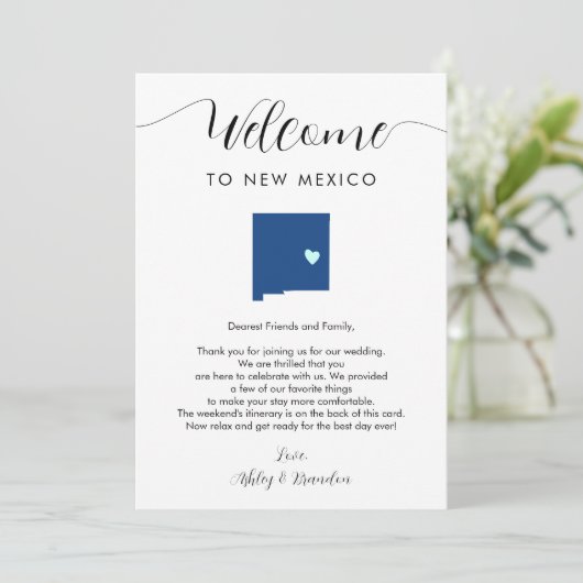 Any Color New Mexicoの結婚歓迎の日程 (スタンド正面)