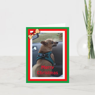 Any Dog Photo Christmas/ホリデーカード シーズンカード