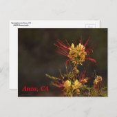 Anza、CAポストカード ポストカード (正面/裏面)