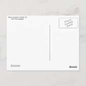 Anza、CAポストカード ポストカード (裏面)