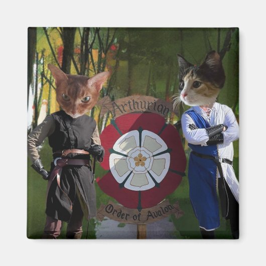 AOAフランスのつながり マグネット (正面)