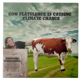 AOC-CLIMATE CHANGE* タイル