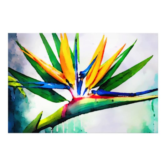 *~* AP10 Bird of Paradise Art絵画's #23 フォトプリント (正面)