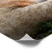 *~* AP23水芸術的色ゴールデンライオアートネス ポスター (角)