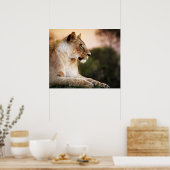 *~* AP23水芸術的色ゴールデンライオアートネス ポスター (キッチン)