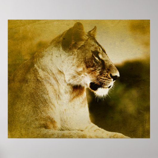 *~* AP23水芸術的色ゴールデンライオアートネス ポスター (正面)