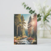 *~* AP49メーンフォレストウッズストリームバケーション ポストカード (スタンド正面)