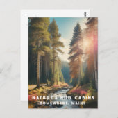 *~* AP49メーンフォレストウッズストリームバケーション ポストカード (正面/裏面)