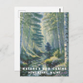 *~* AP49自然メーンフォレストフラワーズ睡蓮 ポストカード (正面/裏面)