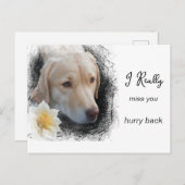 *~ AP61 さびしい短髪犬 花 あなたが恋しい ポストカード (正面/裏面)